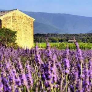 Stilul țării în imagini: Provence și țara franceză