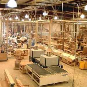 Întreprinderile de prelucrare a lemnului și locul acestora în economia țării