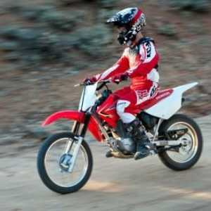 Motociclete pentru copii pe benzina: mini-cruci, sporturi (fotografie)