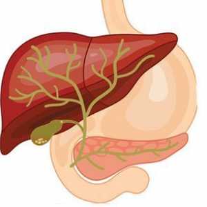 Dieta în caz de boală hepatică și pancreatică