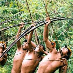 Triburile sălbatice ale Amazonului. Viața modernă a triburilor amazoniene