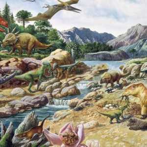 Dinozaurul perioadei jurasice și alte animale ale jurasicului. Lumea perioadei jurasice (fotografie)