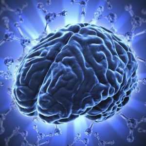 Disfunctia encefalopatiei: ce este? Cauzele și simptomele bolii