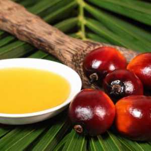 De ce adăugați ulei de palmier pentru alimente și pentru sugari? De ce este produs acest produs,…