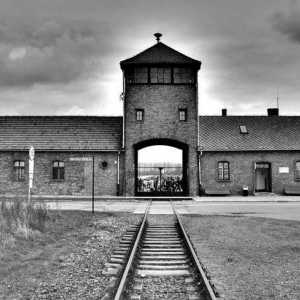 Filme documentare și de lung metraj despre Auschwitz