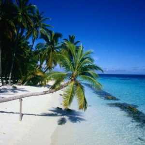 Republica Dominicană: capitala Santo Domingo, cele mai bune plaje și excursii din Punta Cana. Câte…