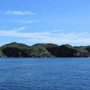 Puncte de reper din Newfoundland: istorie, climă