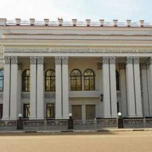 Drama Teatru (Voronej): istorie, repertoriu, trupa