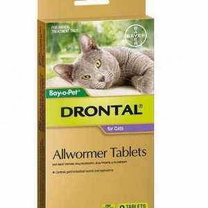 `Drontal` pentru pisici: manual de utilizare (recenzii)
