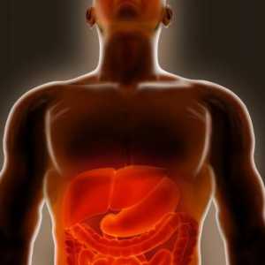 Duodenită: Simptomele și tratamentul la adulți