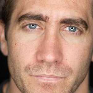 Jake Gyllenhaal: biografie și detalii despre viața personală a actorului
