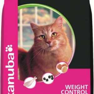Eukanuba - hrana pentru pisici: pentru a vă face animalul sănătos