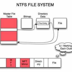Sistem de fișiere - ce este? Sistem de fișiere NTFS, FAT, RAW, UDF