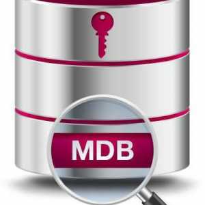 Fișierele cu extensia MDB: ce să deschidă?