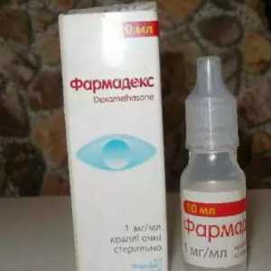 `Pharmadex` (picături pentru ochi): instrucțiuni, recenzii, analogi