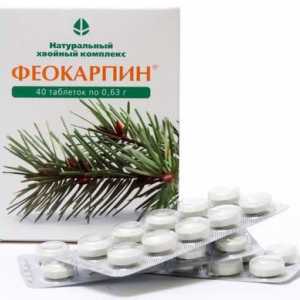 `Feokarpin`: comentarii despre cumpărătorii de medicamente și medici. Instrucțiuni…