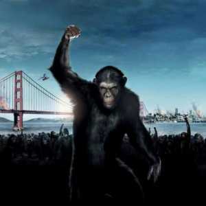 Filmul "Rise of the Planet of the Apes": actori, roluri, complot, recenzii