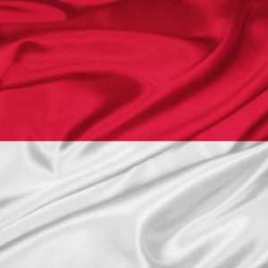 Steagul Indoneziei: specie, semnificație, istorie