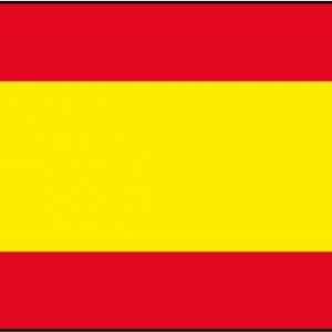 Steagul Spaniei, istoria sa și semnificația simbolică