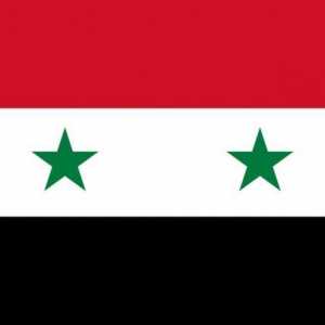 Steagul Siriei: istorie, înțeles, versiuni anterioare