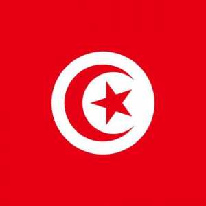 Steagul Tunisiei: aspect și istorie