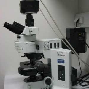 Fluorescență microscopie: principiile metodei