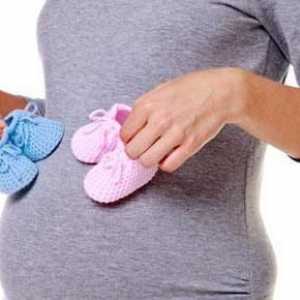 Formele abdomenului în timpul sarcinii de către o fată și un băiat (foto)