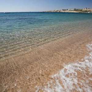Fortuna Sharm El Sheikh 4 * (Egipt, Sharm El Sheikh): fotografie, preturi si comentarii turistice…