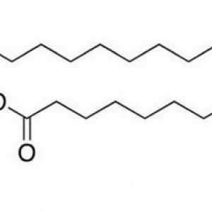 Acid fosfatidic. Sinteza și semnificația în organism