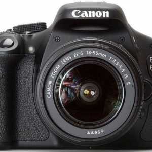 Camera Canon D600: specificații, recenzii