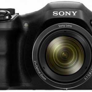 Sony Cyber ​​Shot Camera DSC-H100: specificații și recenzii