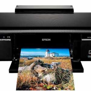 Imprimanta foto Epson P50: raportul ideal de calitate și calitate a imprimării