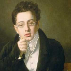 Franz Schubert: biografia clasicii artei muzicale