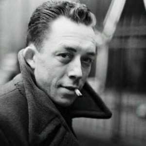 Scriitorul francez Albert Camus: biografie, creativitate