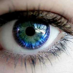 Termeni frazeologici cu cuvântul "ochi". Frazeologismele cu cuvântul "ochii" și…