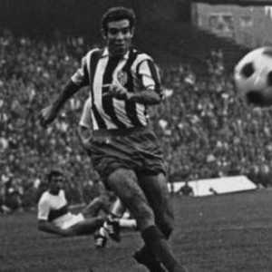 Antrenor de fotbal Luis Aragones: biografie, carieră