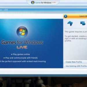 Jocuri pentru Windows Live, eroare de conectare: cum să remediem?