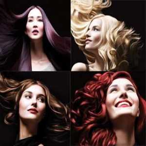 Garnier `Olia` - o paletă de frumusețe a părului