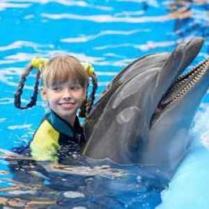 Unde poți să înoți cu delfinii la Moscova?