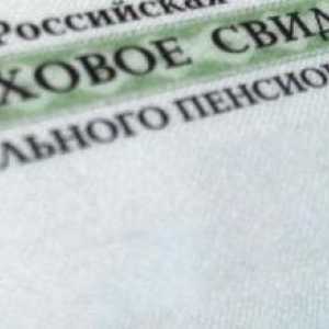 Unde sunt SNILS-urile la Moscova? Numărul de asigurare al contului individual