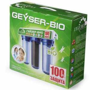 Geyser: filtru, cartușe. Prezentare generală, înlocuire și feedback. `Geyser 3`…