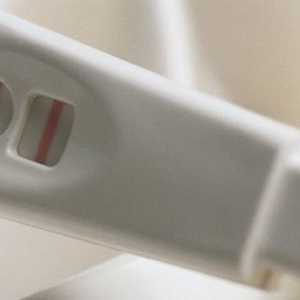 Analiza genetică în planificarea sarcinii: descriere, caracteristici și recomandări