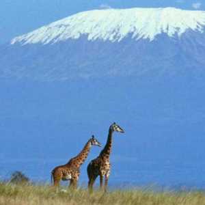 Coordonatele geografice ale vulcanului Kilimanjaro și alte caracteristici