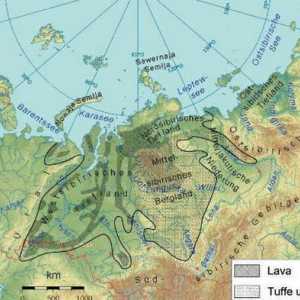 Poziția geografică a Câmpiei Siberiei de Vest: descriere și caracteristici