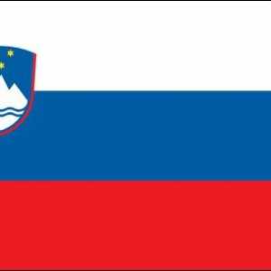Stema și drapelul Sloveniei