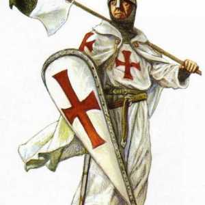 Stema cavalerilor și motto-ul. Au fost motto-urile cavalerilor medievali?