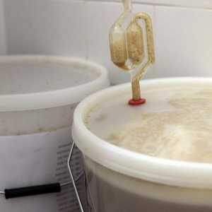 Blocaj hidraulic pentru fermentare: scop și caracteristici
