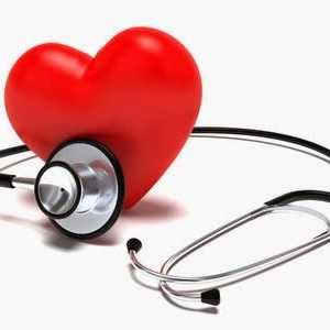 Hipertrofia ventriculului stâng al inimii: tratamentul cu medicamentele folclorice. Cauze, simptome…