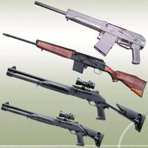 Smoothbore arme pentru vânătoare: recenzie, descriere și recenzii