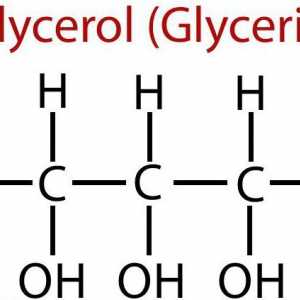 Glicerina și utilizarea acesteia. Glicerină nutritivă